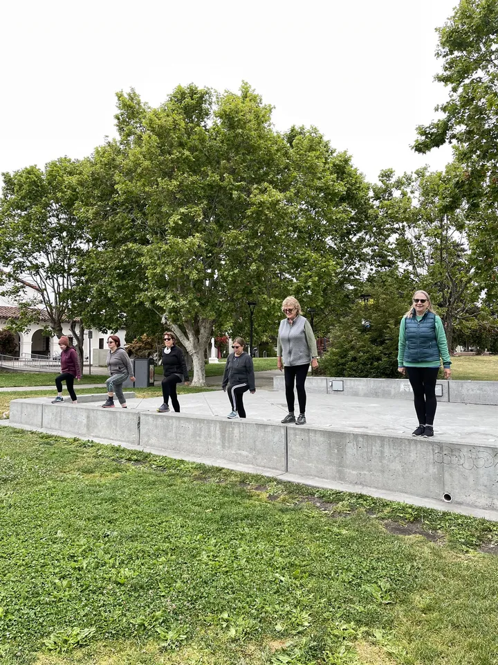 Dario's senior group class doing step-ups at the park