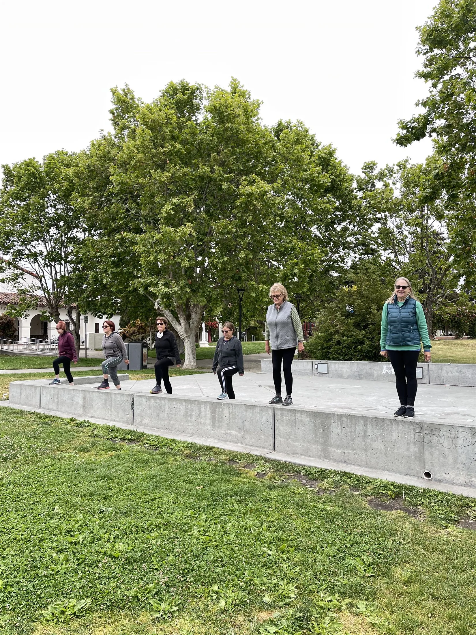 Dario's senior group class doing step-ups at the park
